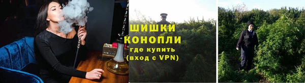 гидра Заволжье