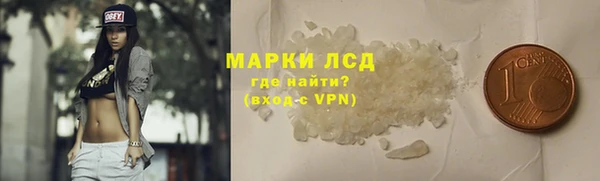 мдпв Краснослободск