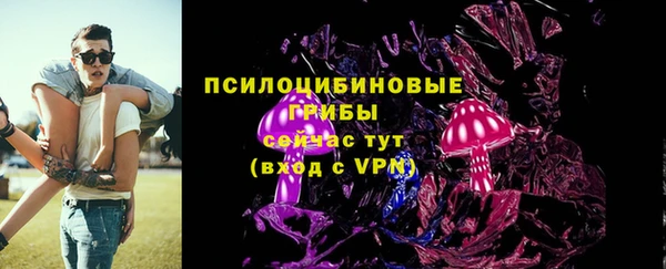 мдпв Краснослободск