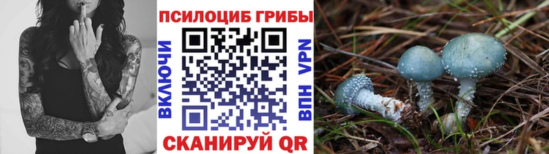 Псилоцибиновые грибы Cubensis OMG рабочий сайт Инсар