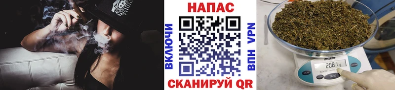 где продают   Инсар  Канабис сатива 